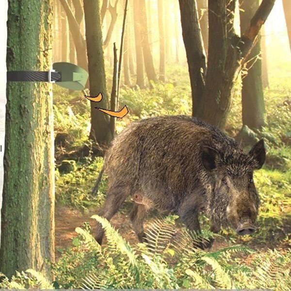 Wireless hunting alarm system Berger & Schröter 1 sensor + 1 receiver