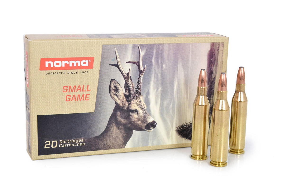 Norma .243 Win. ORYX 6.5 g Cartridges