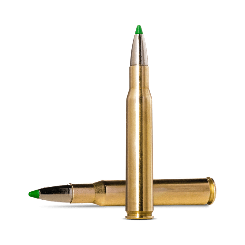 Patronas Norma 30-06 Spring. Ecostrike 9,7g 150 gr