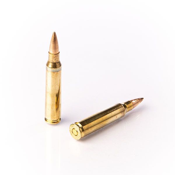 Šoviniai Fiocchi kal. .223 Rem. FMJ 55gr/ 3.56g