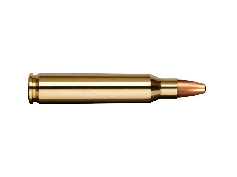Patronas Norma 223 Rem Oryx 3.6 g