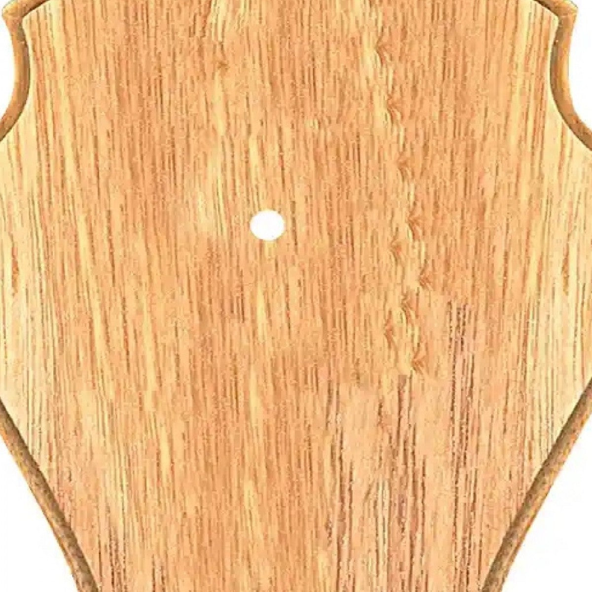 Dekoratyvinė medinė trofėjaus lentelė FRANKONIA, šviesi