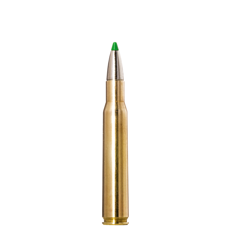 Ammunition Norma 308 Win Ecostrike 10.7g