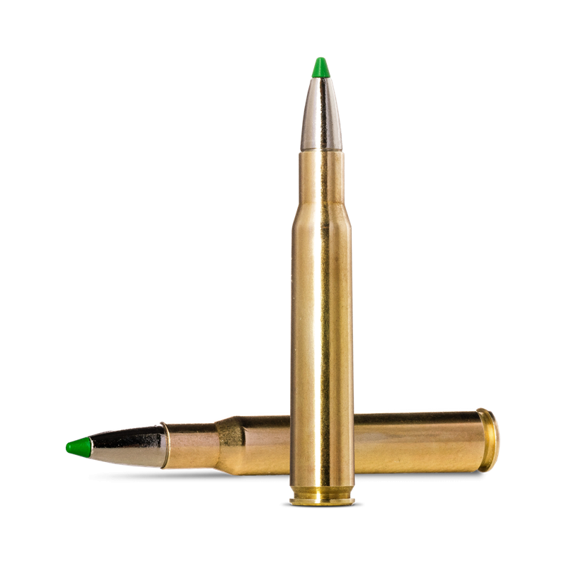 Ammunition Norma 308 Win Ecostrike 9.7g