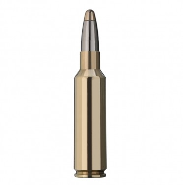 Patronas RWS kal. 300WSM Evolution 11,9 g
