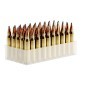 Šāv. FIOCCHI kal. 223 Rem SP 55gr