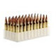 Šāv. FIOCCHI kal. 223 Rem SP 55gr